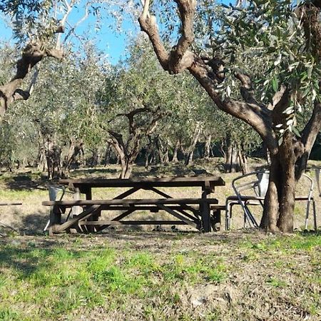 Agriturismo Cele Celle Ligure Ngoại thất bức ảnh