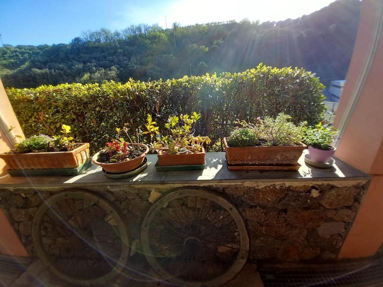 Agriturismo Cele Celle Ligure Ngoại thất bức ảnh