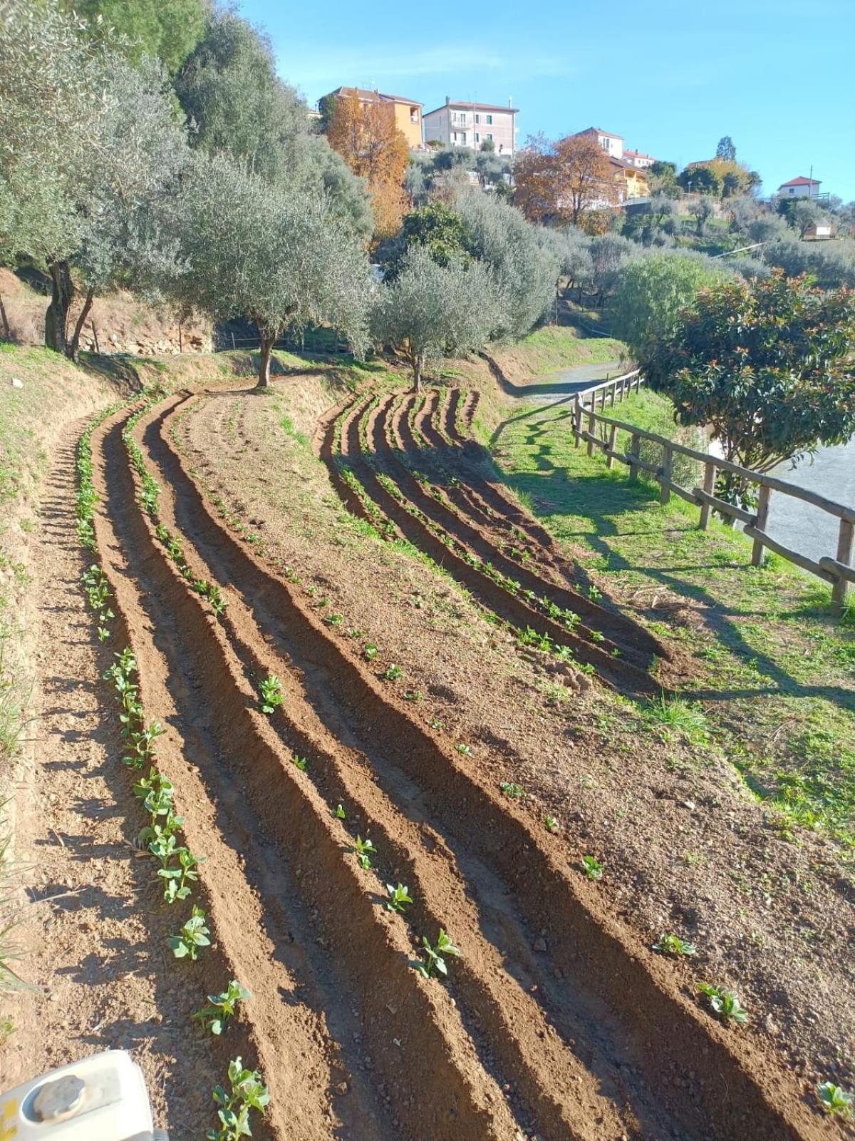 Agriturismo Cele Celle Ligure Ngoại thất bức ảnh